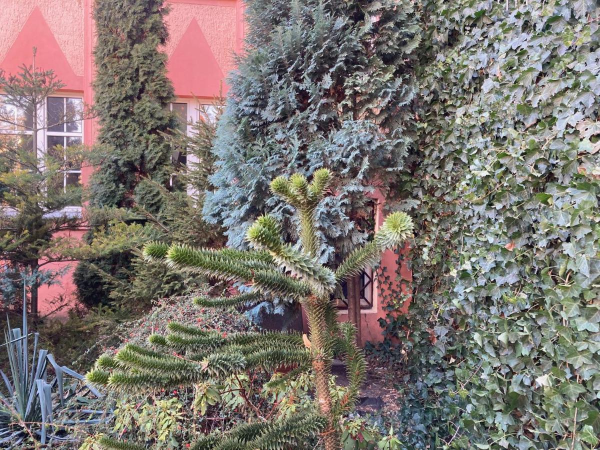 Pokoj Miejski Zielona Góra Exterior foto